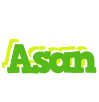 Asan picnic logo