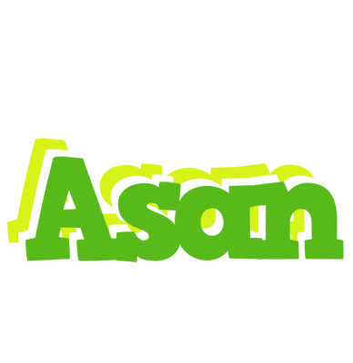 Asan picnic logo