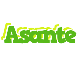 Asante picnic logo