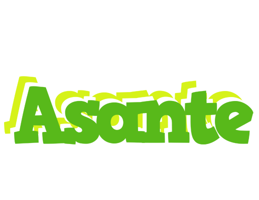 Asante picnic logo