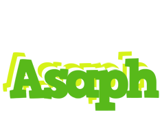 Asaph picnic logo