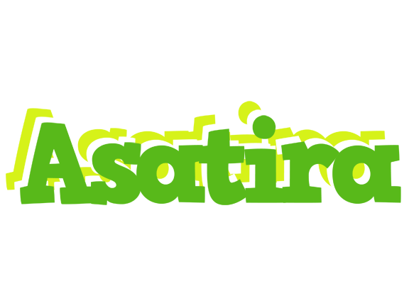 Asatira picnic logo