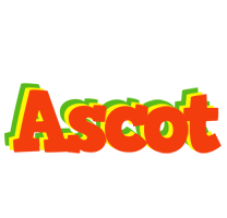 Ascot bbq logo