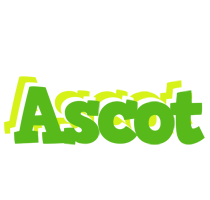 Ascot picnic logo