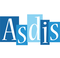 Asdis winter logo