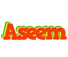 Aseem bbq logo