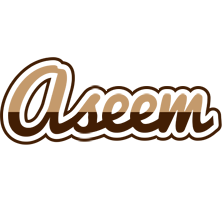 Aseem exclusive logo