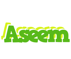 Aseem picnic logo