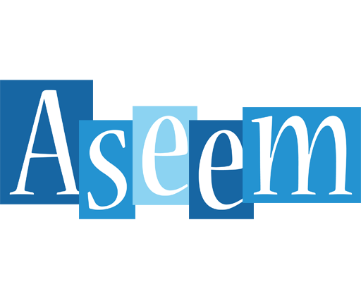 Aseem winter logo