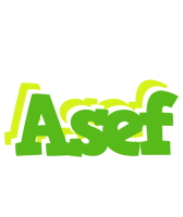 Asef picnic logo