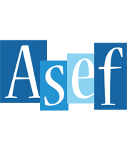 Asef winter logo
