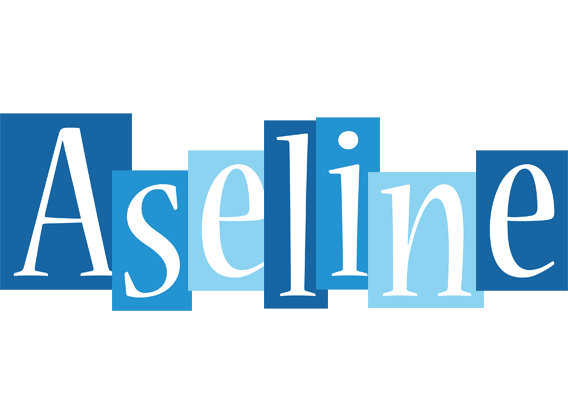Aseline winter logo