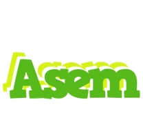 Asem picnic logo