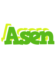 Asen picnic logo