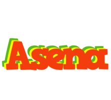 Asena bbq logo