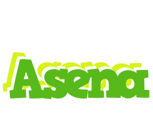 Asena picnic logo