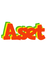 Aset bbq logo