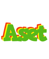 Aset crocodile logo