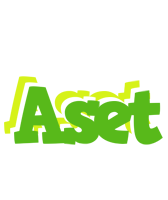 Aset picnic logo