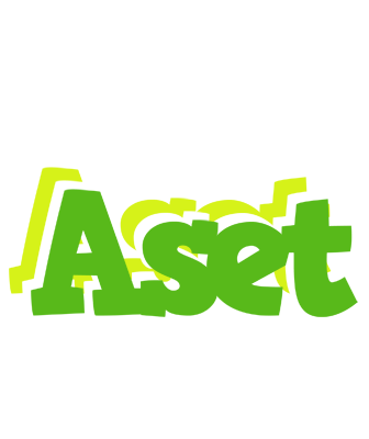 Aset picnic logo