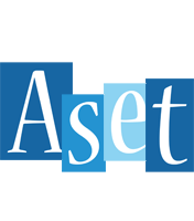 Aset winter logo