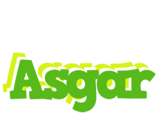 Asgar picnic logo