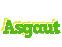 Asgaut picnic logo