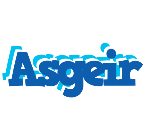 Asgeir business logo