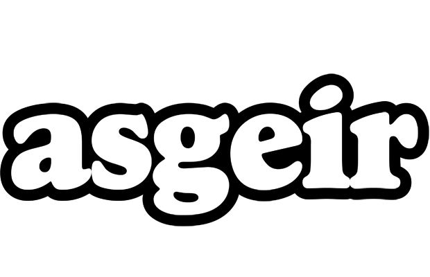 Asgeir panda logo