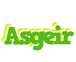 Asgeir picnic logo