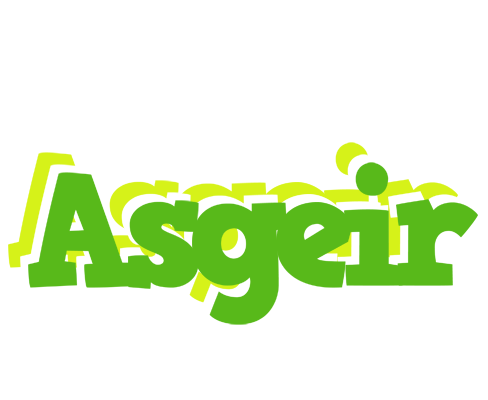 Asgeir picnic logo