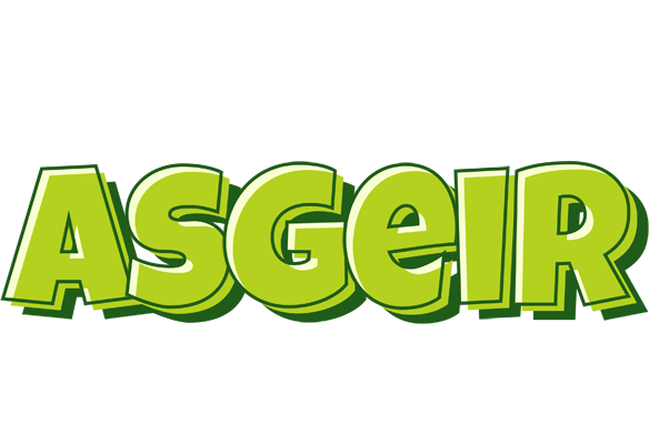 Asgeir summer logo