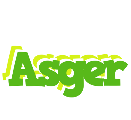 Asger picnic logo
