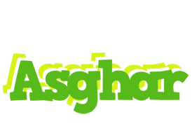 Asghar picnic logo