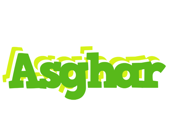 Asghar picnic logo