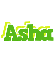 Asha picnic logo