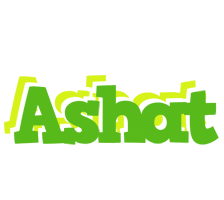 Ashat picnic logo