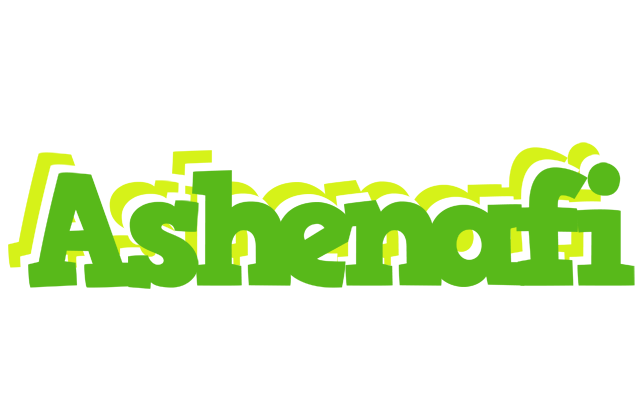 Ashenafi picnic logo