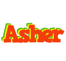 Asher bbq logo