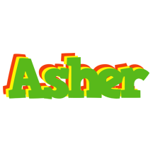 Asher crocodile logo