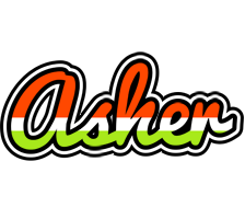 Asher exotic logo