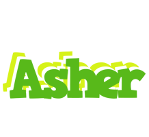 Asher picnic logo