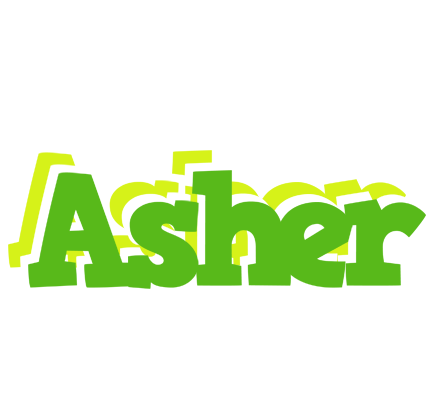 Asher picnic logo