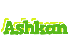 Ashkan picnic logo