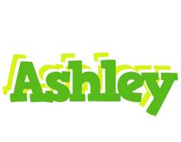 Ashley picnic logo