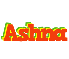 Ashna bbq logo