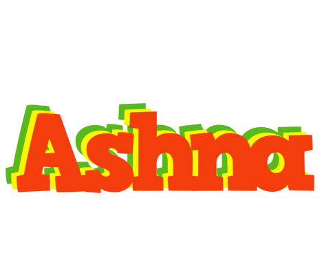 Ashna bbq logo