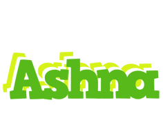 Ashna picnic logo