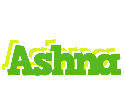 Ashna picnic logo