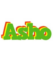 Asho crocodile logo